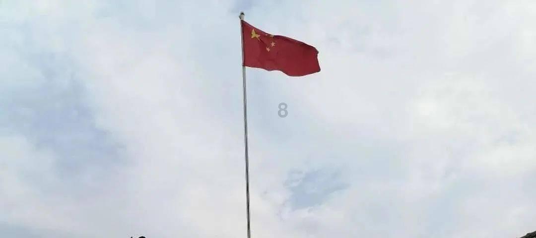 虫虫助手下载